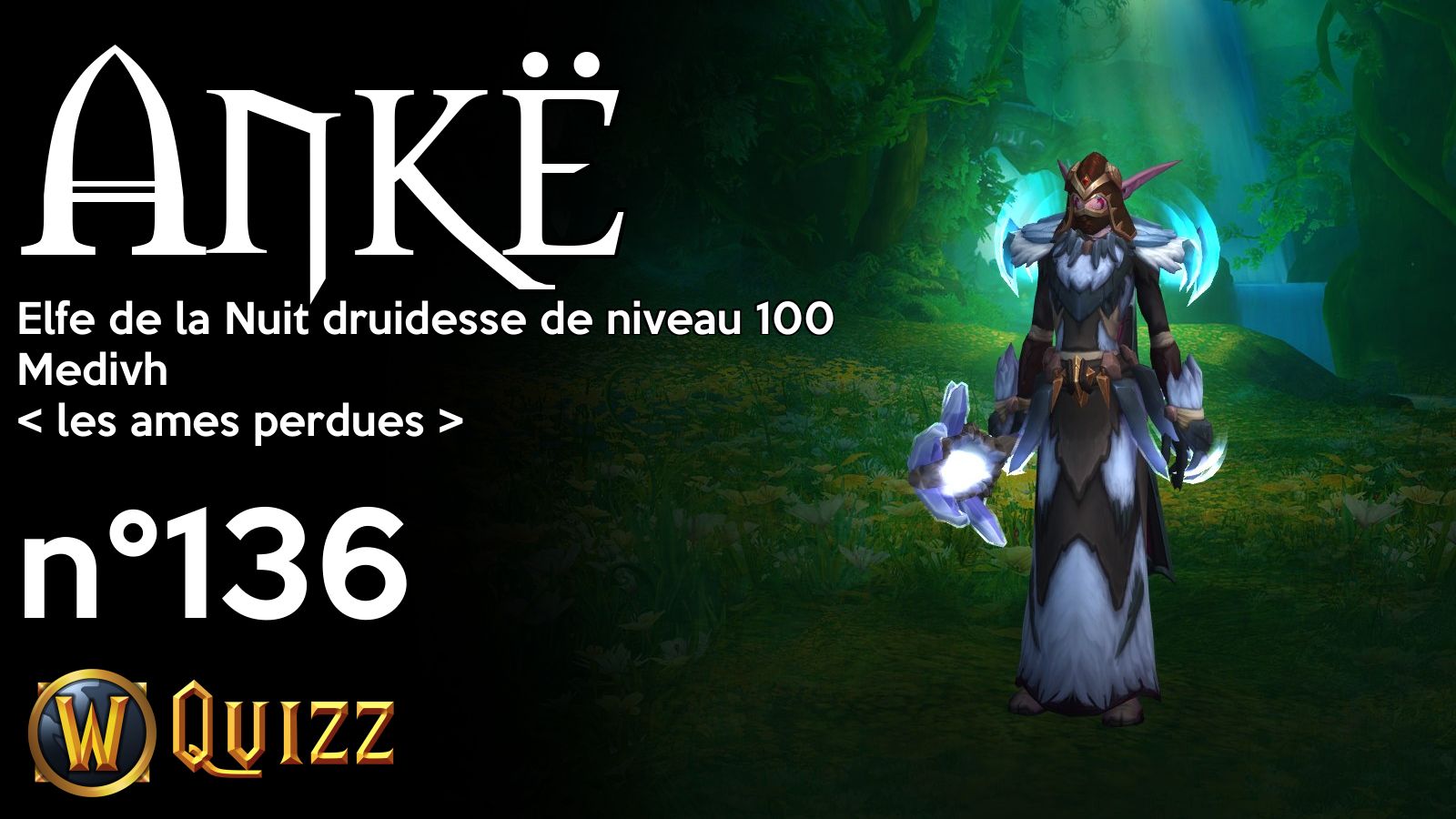 Ankë, Elfe de la Nuit druidesse de niveau 100, Medivh