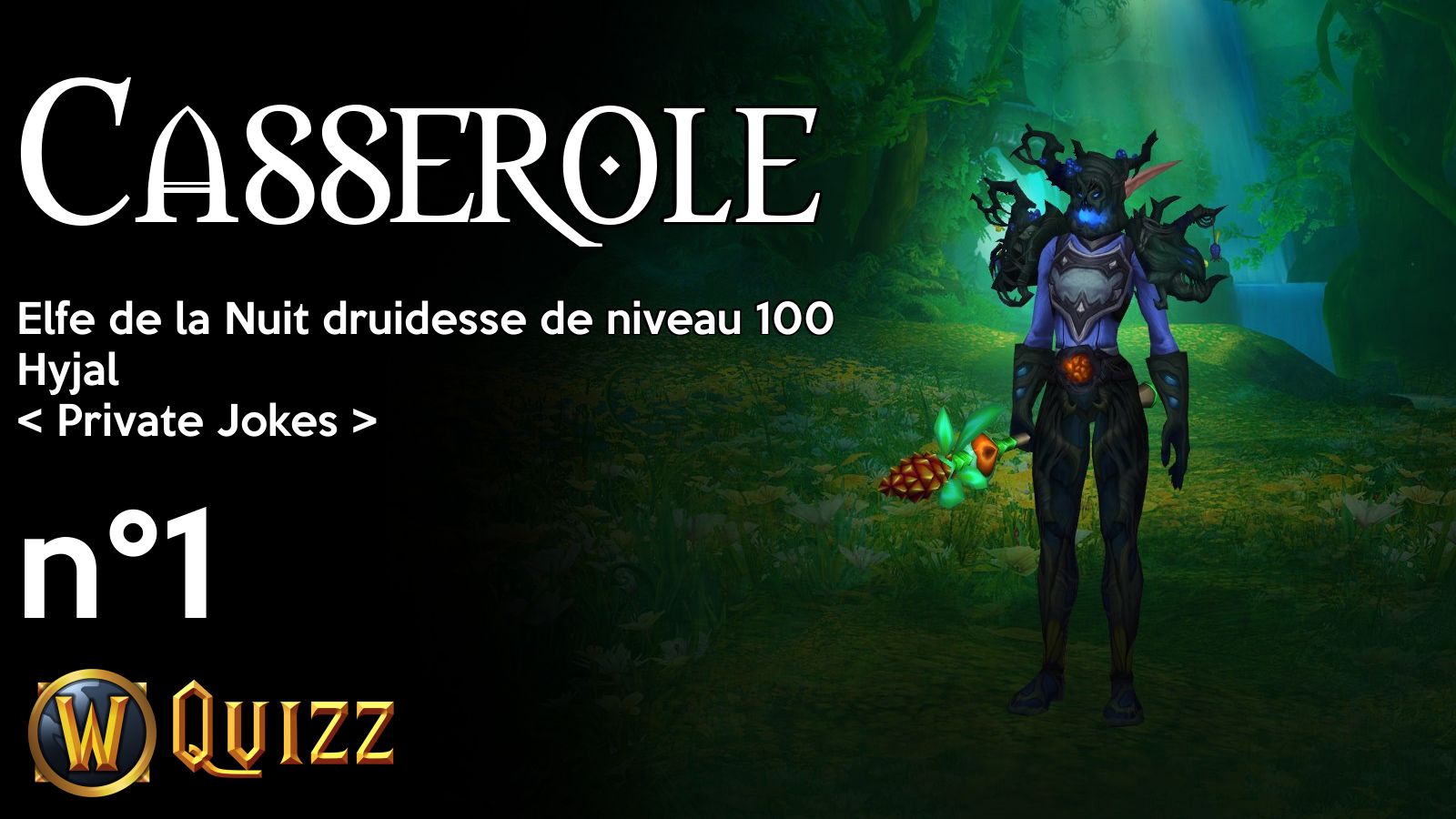 Casserole, Elfe de la Nuit druidesse de niveau 100, Hyjal