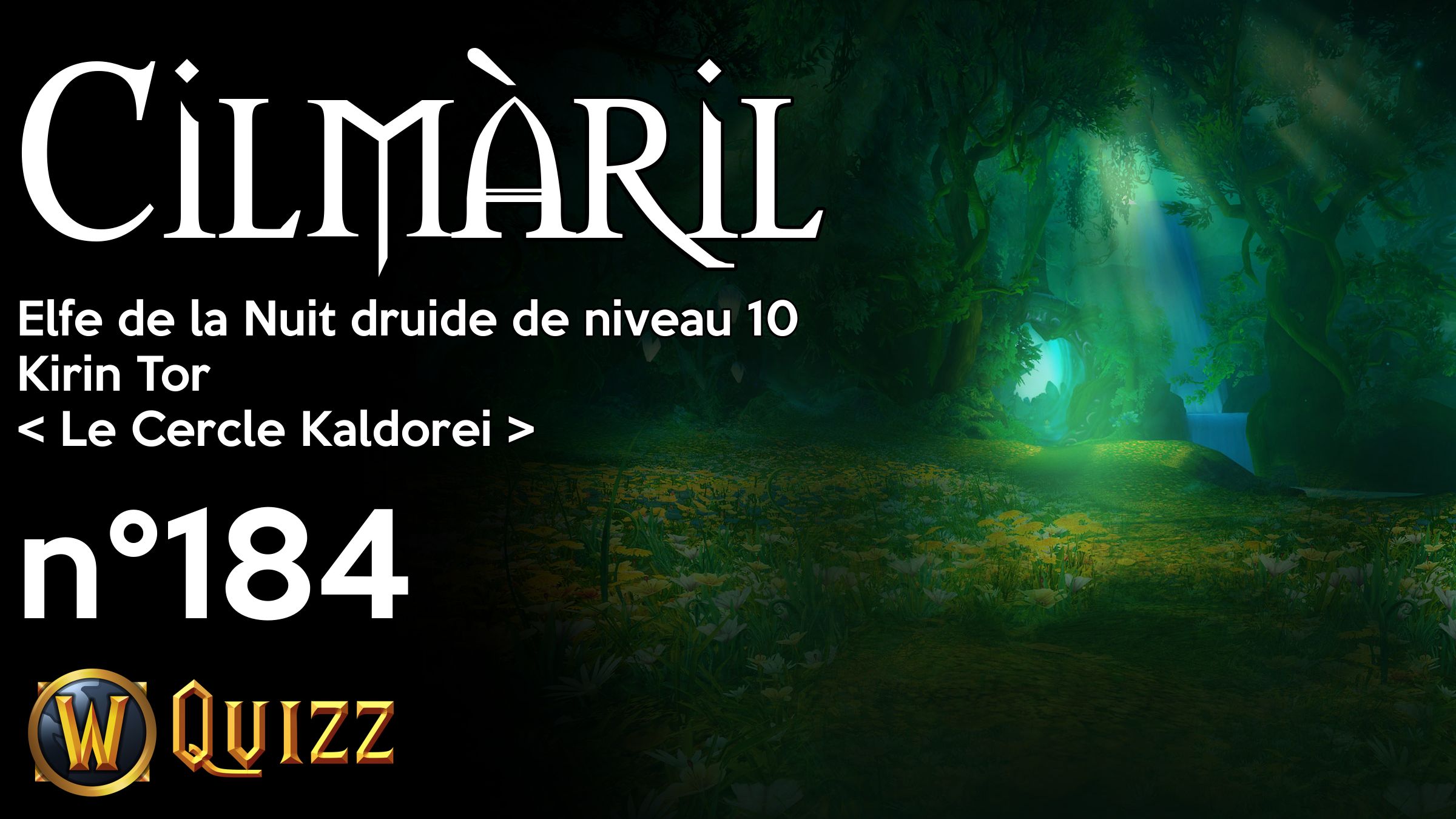 Cilmàril, Elfe de la Nuit druide de niveau 10, Kirin Tor
