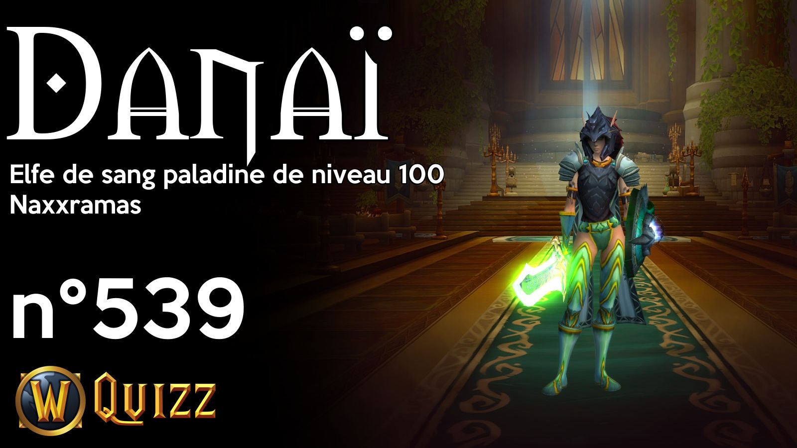 Danaï, Elfe de sang paladine de niveau 100, Naxxramas