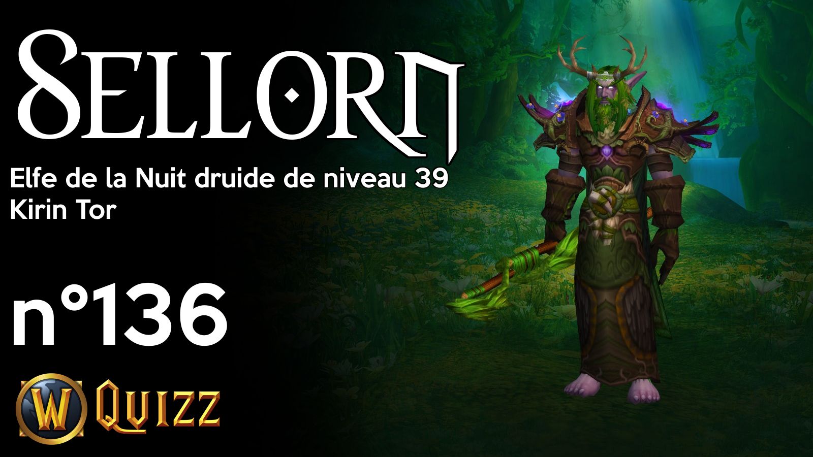 Sellorn, Elfe de la Nuit druide de niveau 39, Kirin Tor